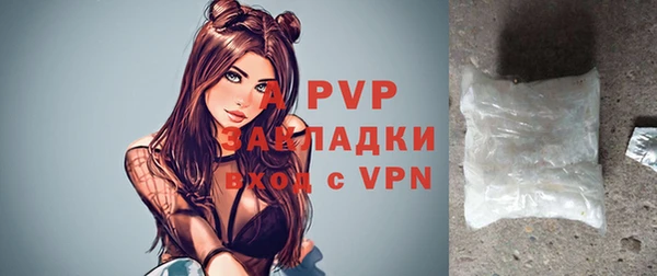 стаф Абинск