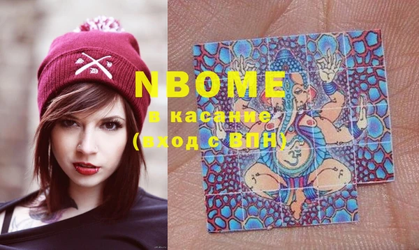 стаф Абинск