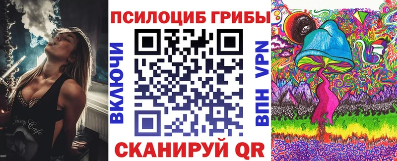 mega ссылка  Алейск  Галлюциногенные грибы прущие грибы 