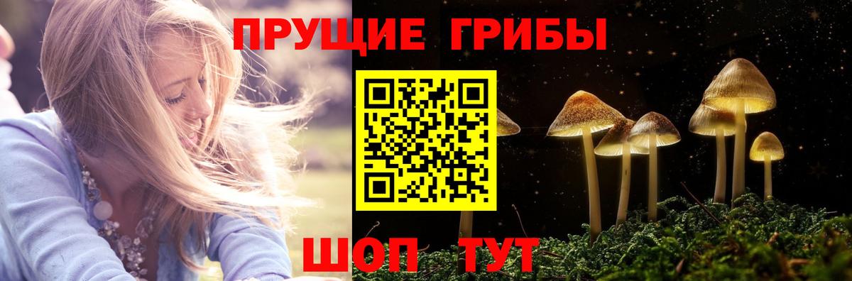 Галлюциногенные грибы ЛСД Алейск